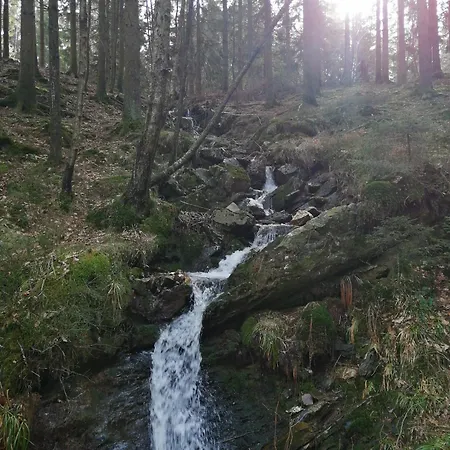 Πανσιόν Le Nid Des Fa Gnes Francorchamps